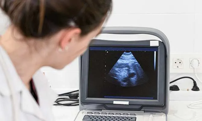 website template image